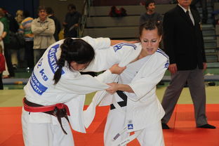 Leyu Sport登录入口-全国乒乓球锦标赛女单冠军出炉，全国乒乓球锦标赛女单冠军出炉了吗