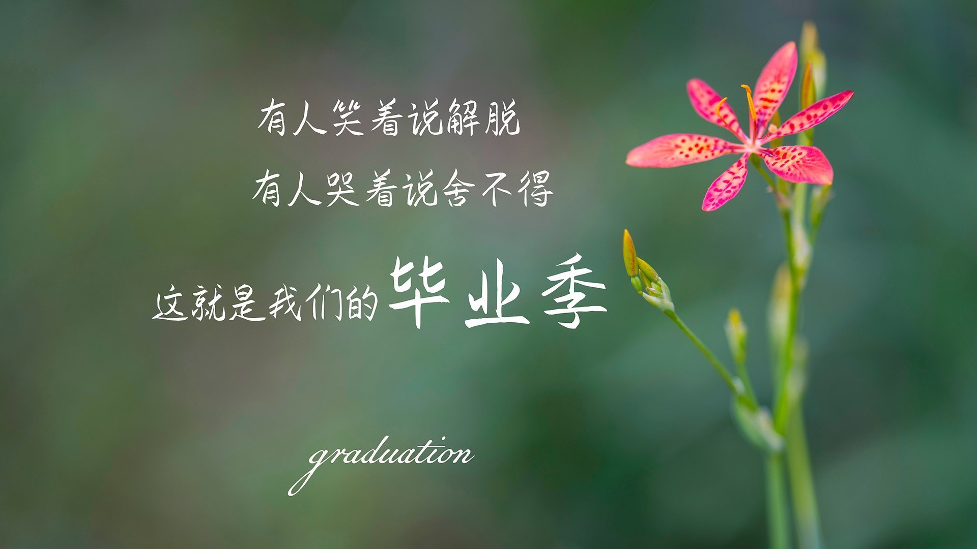 APP下载 LY Sports-运动员技能提升培训计划，运动员技能提升培训计划方案