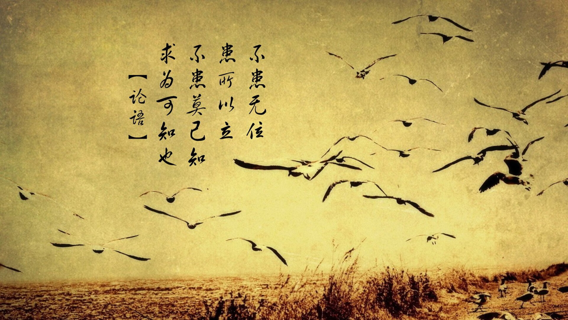 leyu乐鱼-东亚杯中国队惨败 球迷建议加强心理辅导，中国队东亚杯冠军