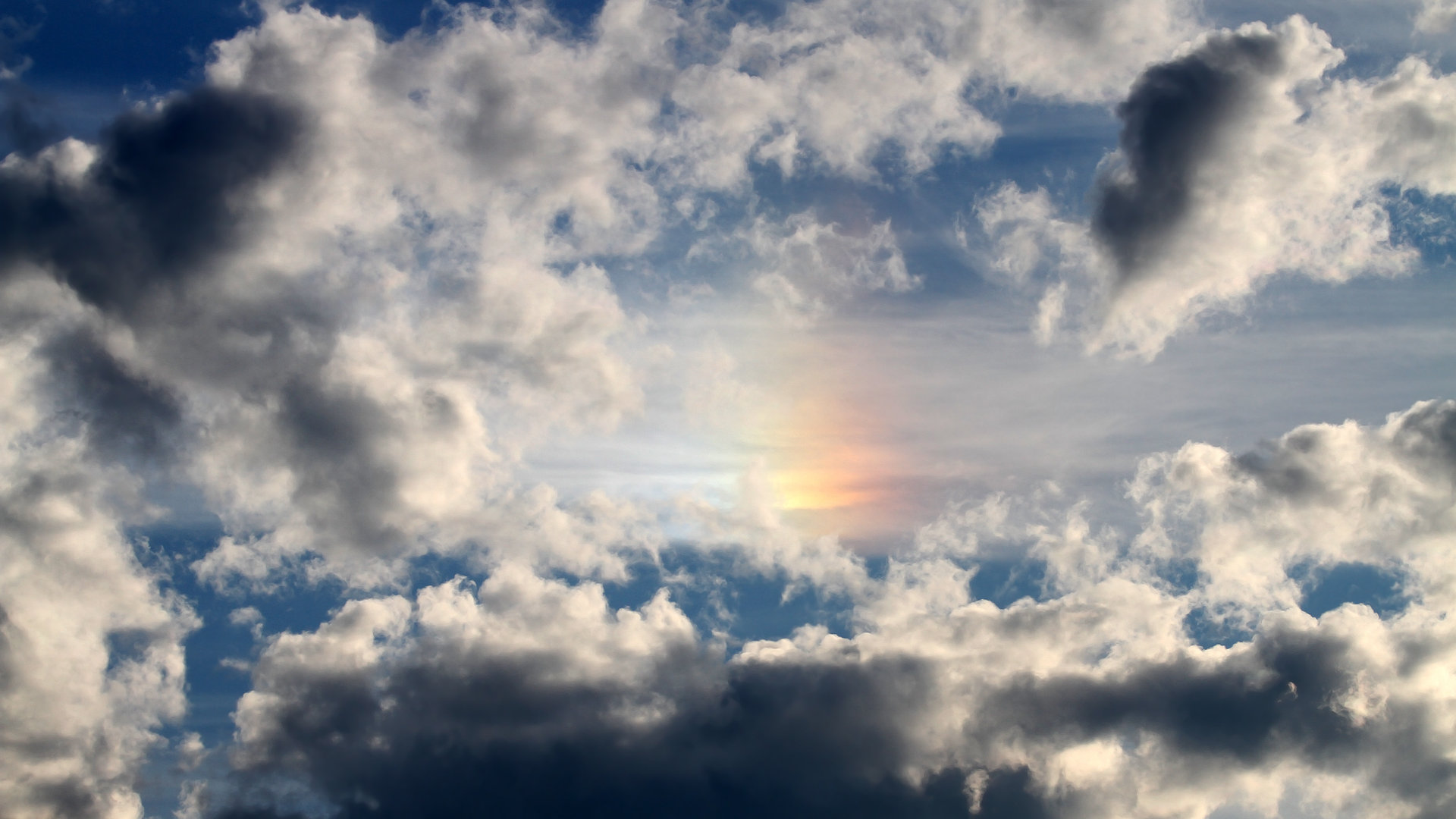 leyu乐鱼体育综合-季前训练营设置对赛季开局表现的关键驱动作用，季前赛怎么玩