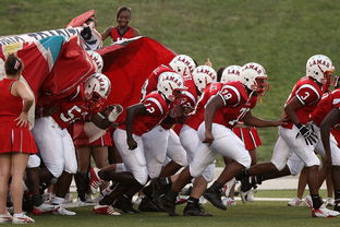 leyu乐鱼官网登录入口-搏击台上竞技水平持续提高，搏击台上竞技水平持续提高怎么办