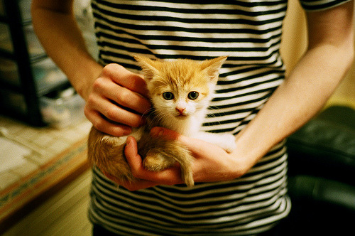 乐鱼电竞在线平台-男子接力四人团结制胜，男子4x100m接力小组