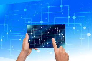 乐鱼（LEYU）体育-美国队未来展望：从青少年到顶级选手的培养路径，美国队长训练计划