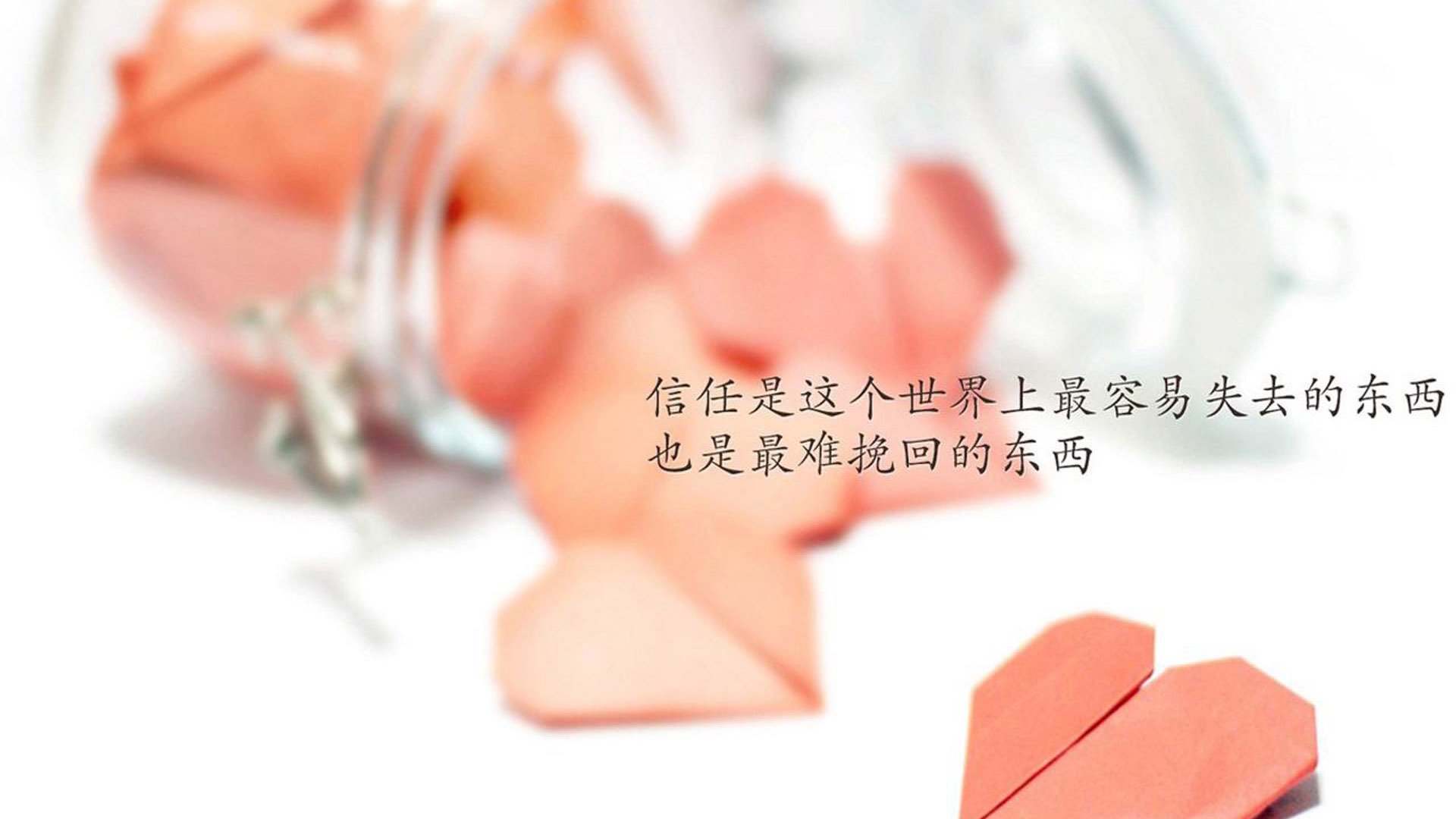 乐鱼体育APP官方下载-自由搏击赛事影响力扩大，自由搏击赛事影响力扩大的例子