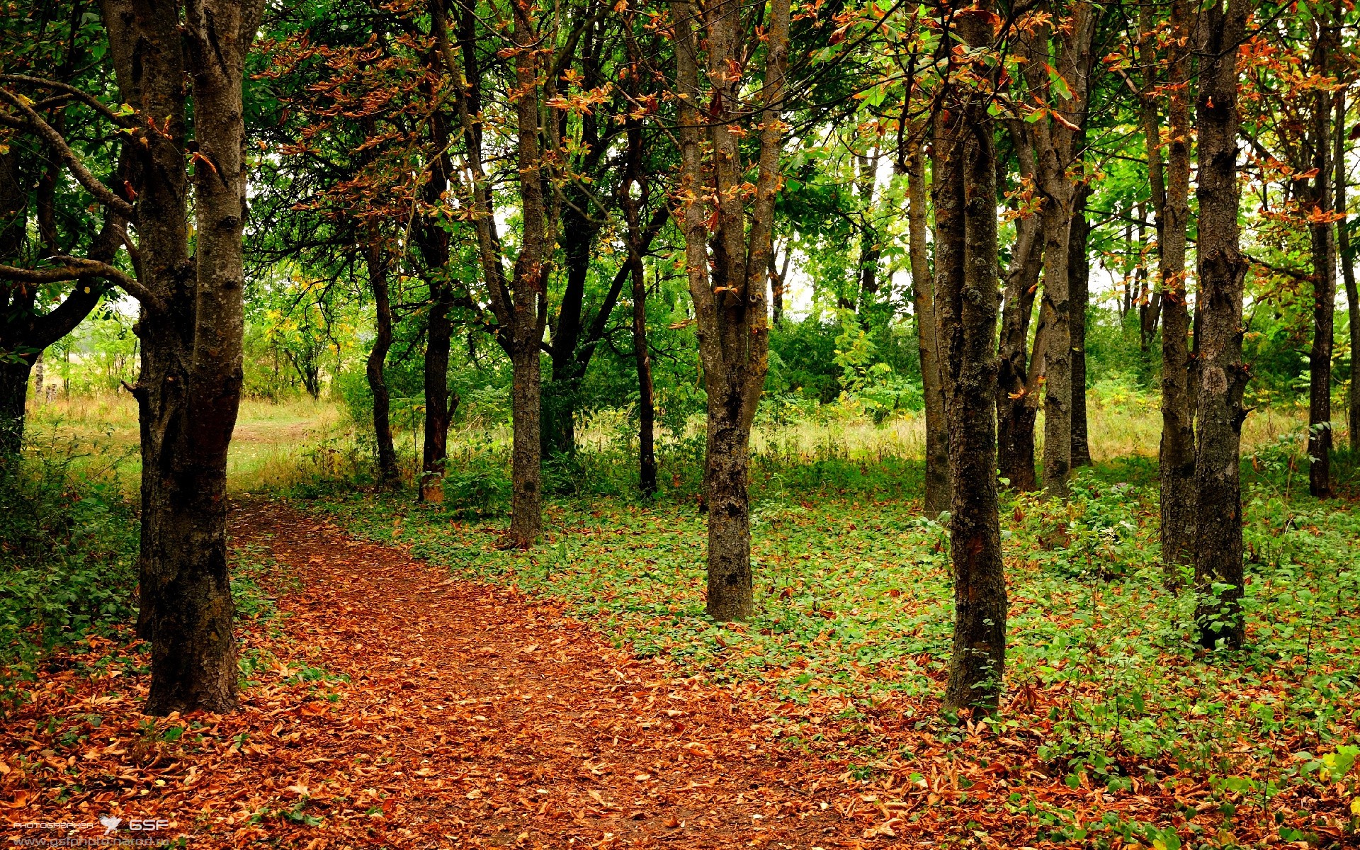 leyu乐鱼体育综合-马赛边后卫插上助攻带来破局之力，马赛对标