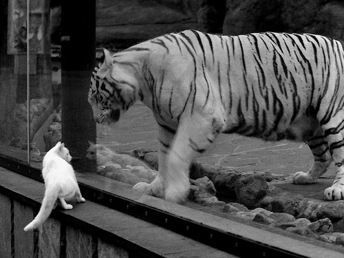 乐鱼体育(中国)官方网站-中乙联赛引入本地解说员培养提升区域话语权，中乙球队招人