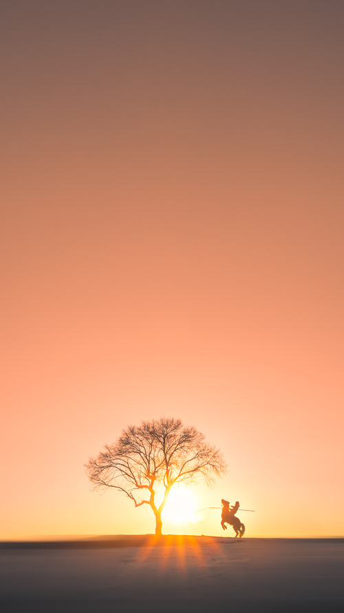 leyu乐鱼-中国男篮优化体能训练分阶段控制负荷强度，中国男篮身体素质