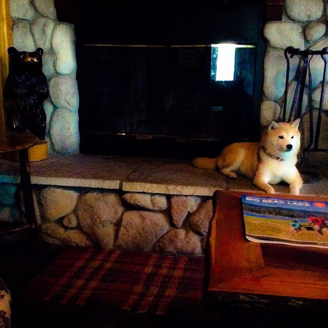 乐鱼体育-乔治·巴尔：用精确的判断和快速反应力，他帮助全黑队稳定场面