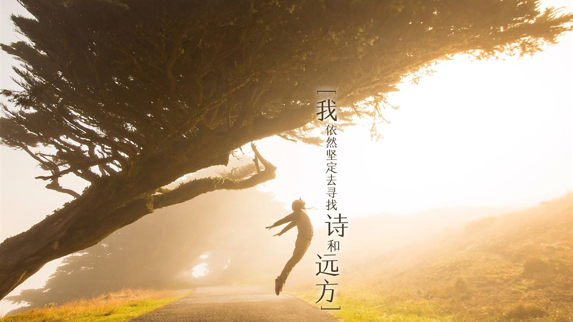 乐鱼电竞在线平台登录入口-女子篮球发展联盟设立推动联赛规范化建设，女子篮球组织