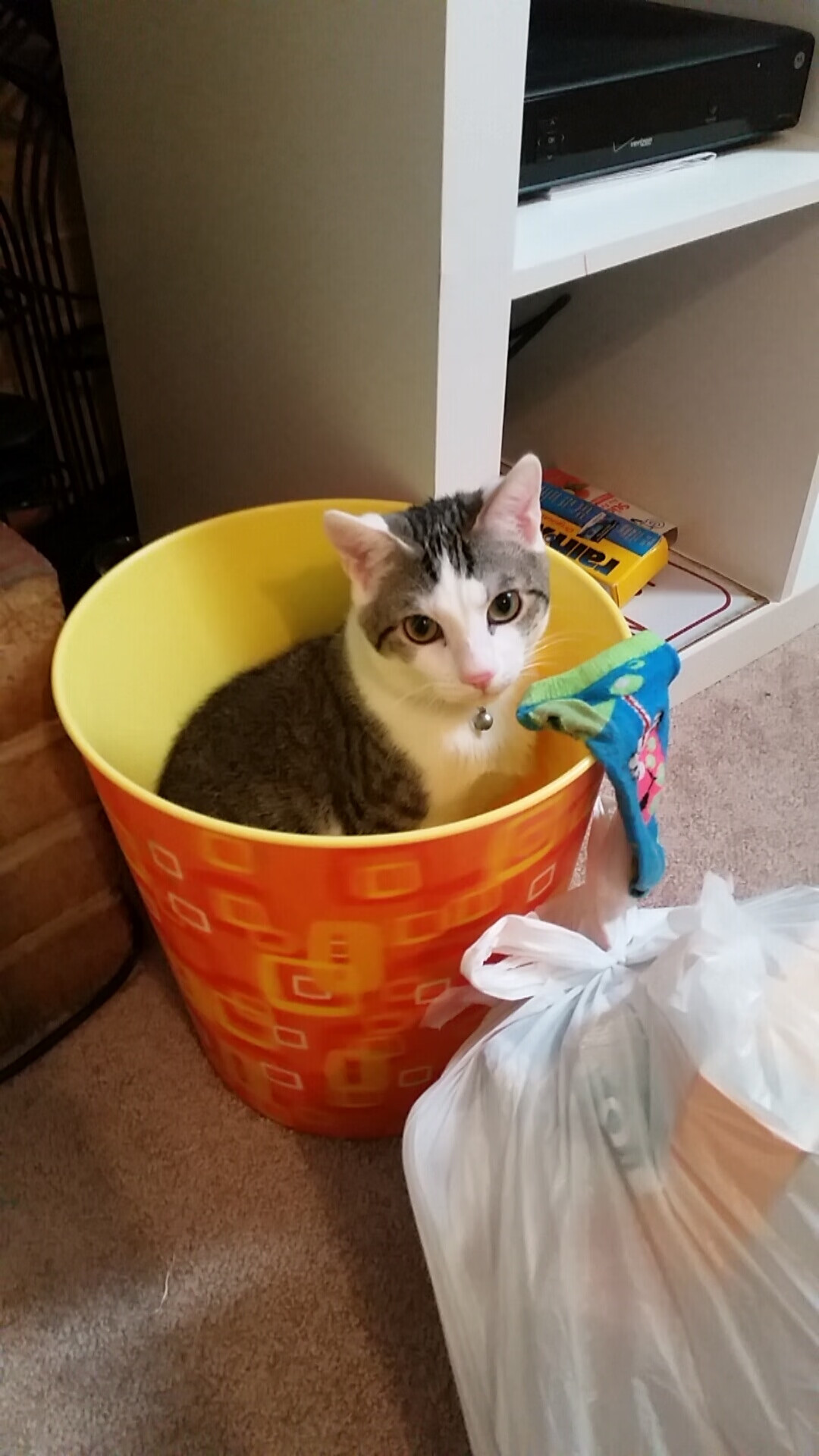 王楚钦完成绝杀乒乓球团体赛,王楚钦乒乓球个人资料