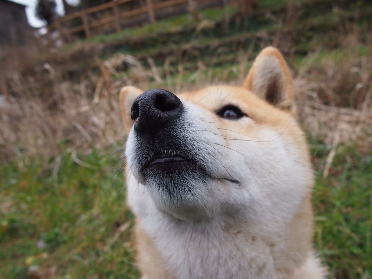 乐鱼娱乐app-美洲杯明星助攻:绝妙配合点燃全场热血,美洲杯 球星