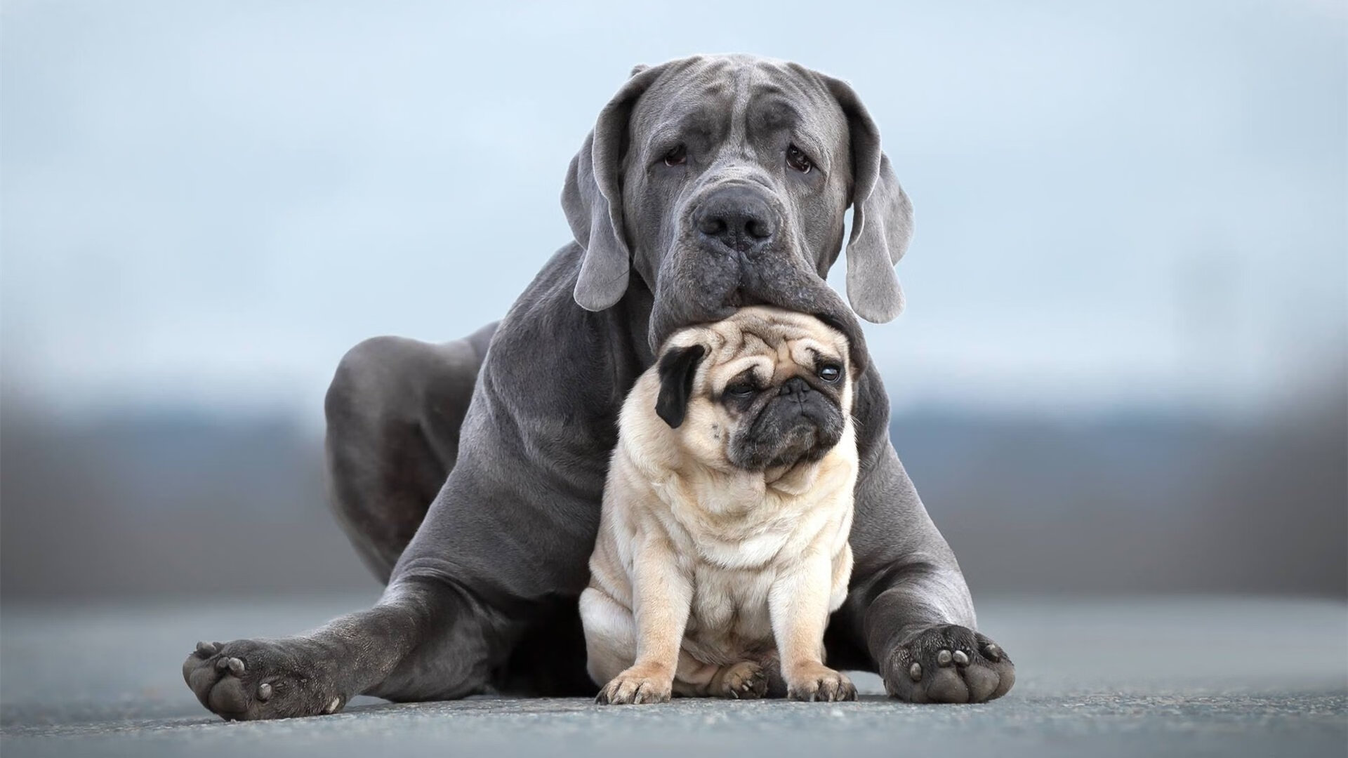 leyu乐鱼体育综合-联盟推行公平竞赛基金,支持弱队发展与培训,公平竞赛进行曲