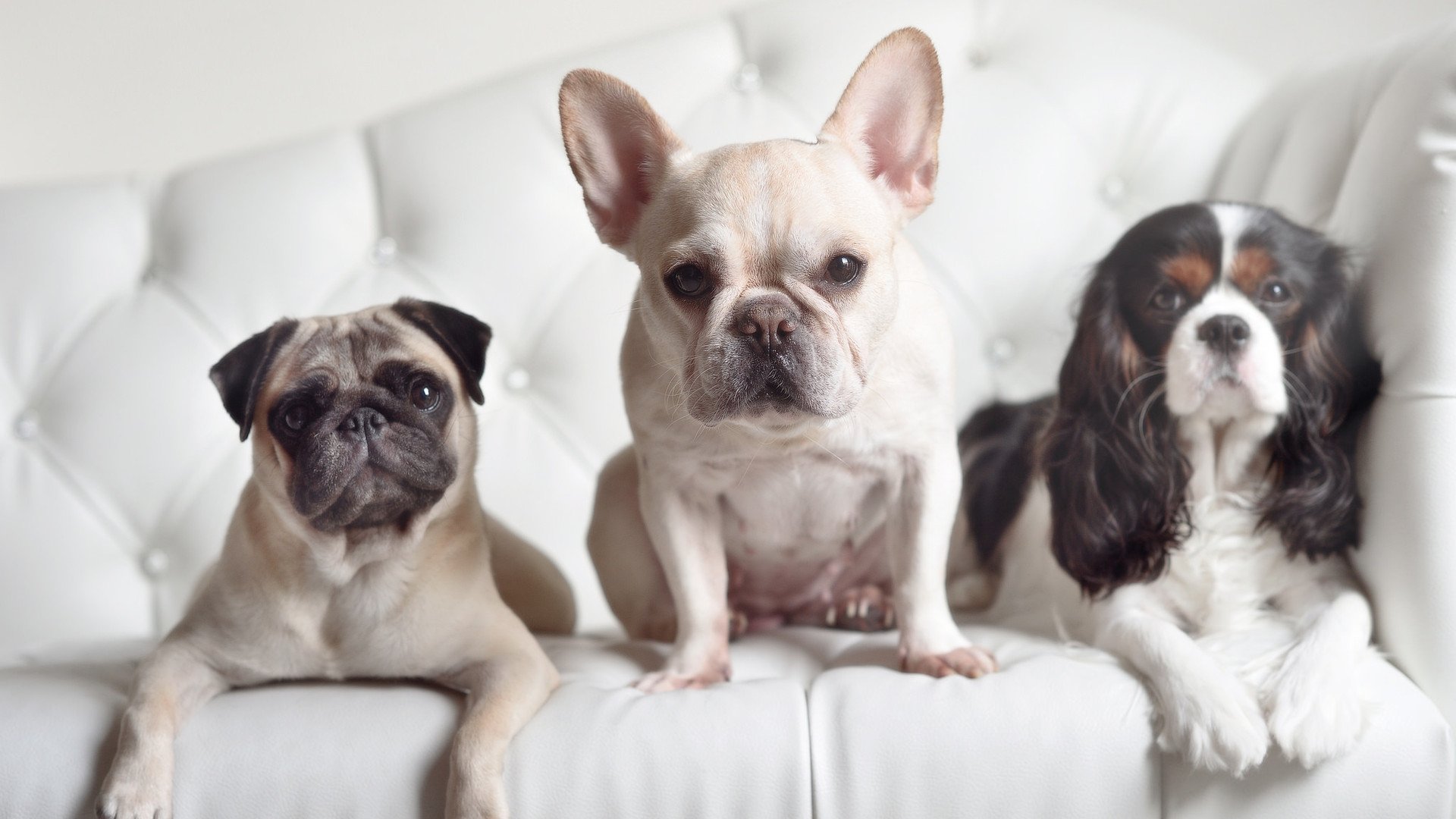 乐鱼体育平台app下载-西甲联赛的青训基地建设，西甲足球学校